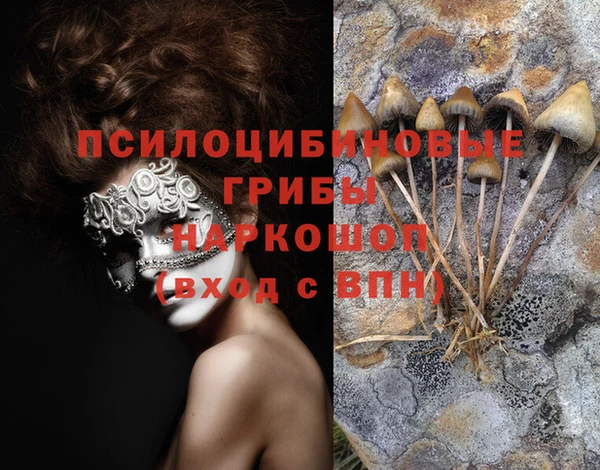 кокс Заводоуковск